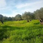 Panagis شقة *