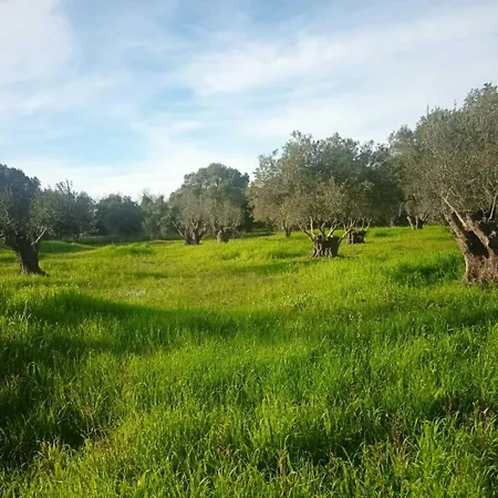 Appartamento Panagis *
